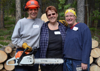 Looking for community champions