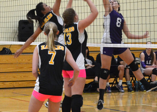 Lady Eagles volleyball have a winning week