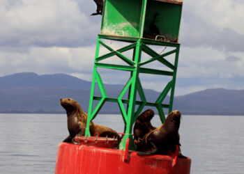 Wrangell, Alaska – a great place to unwind