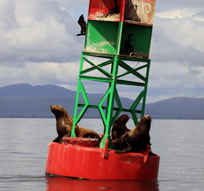 Wrangell, Alaska – a great place to unwind