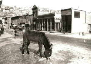 CentralCity_donkey_EricMiller