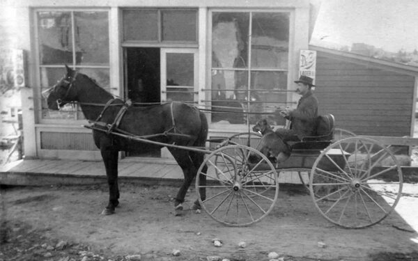 A tailing tale of cattle drives and 8th Grade graduation