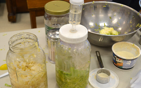 February Fermentations