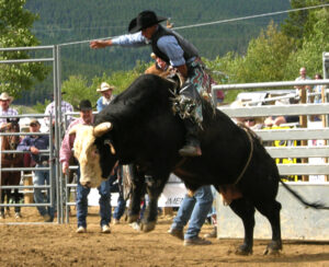bullriding_b