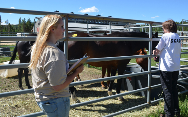 Tension flares over Cold Springs Fire near Nederland