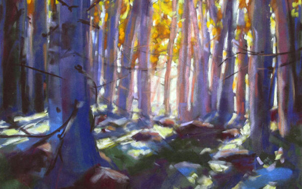 5th Annual Gilpin Art Studio Tour