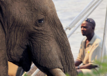 Chiawa Cultural Village