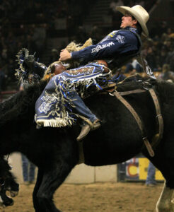 Stock_Show_12_DaveGibson