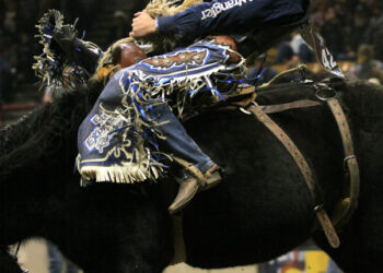 National Western Stock Show