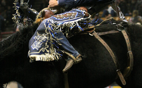 National Western Stock Show