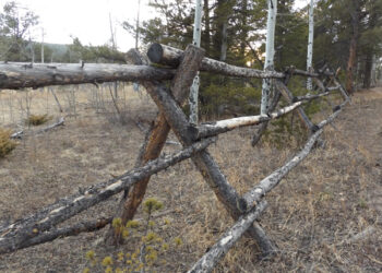 Gilpin Treasurer to upgrade computer systems