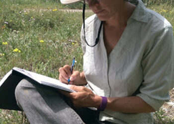 Nature Journaling in the mountains