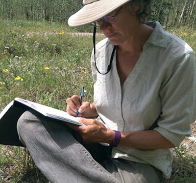 Nature Journaling in the mountains