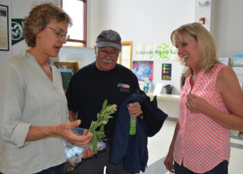 “Pick a bouquet and throw it away”