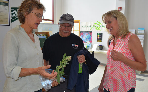 “Pick a bouquet and throw it away”