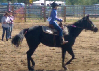 Peak to Peak Gymkhana Buckle Series