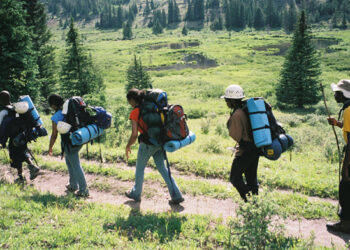 A “tailing tale” of Winston Walker and Lincoln Hills