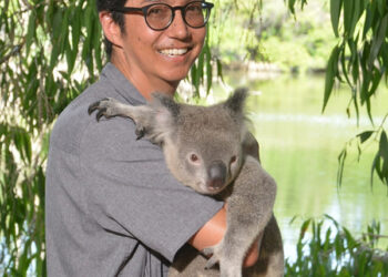 Education on the “island continent”