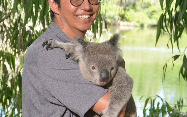 Education on the “island continent”