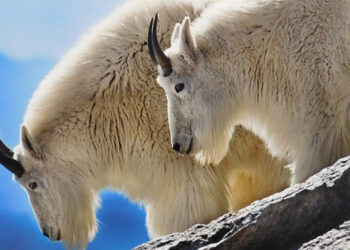 Cathedral of Color art exhibit