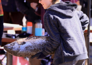 Salmon Toss at Frozen Dead Guy Days