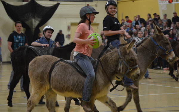 Hee Haw! It’s Donkey Basketball!