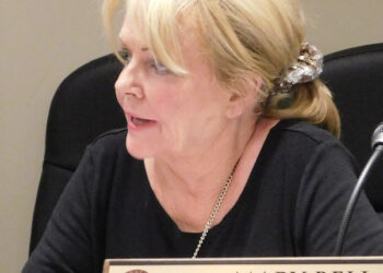 Taxes and appointments on the ballot for Central City