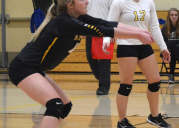 Lady Eagles enjoy victory at home and on the road