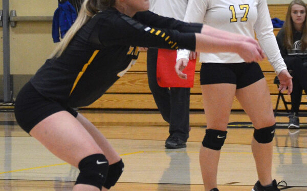 Lady Eagles enjoy victory at home and on the road