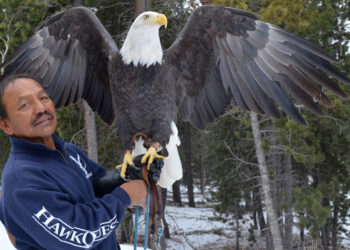 HawkQuest presents raptors to Gilpin audience