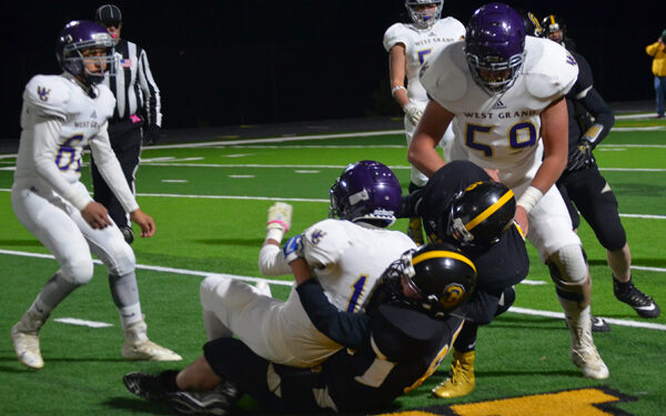 Volleyball team nets two wins in tournament play