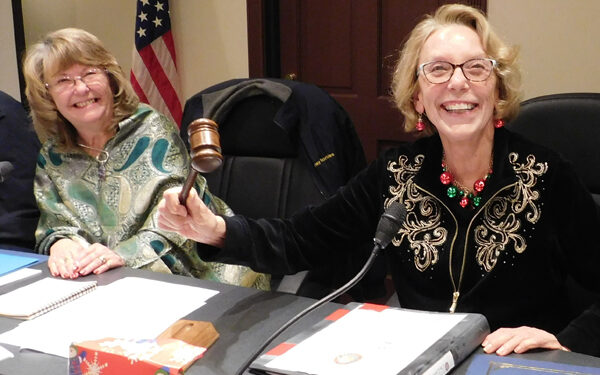 Two Council members say goodbye