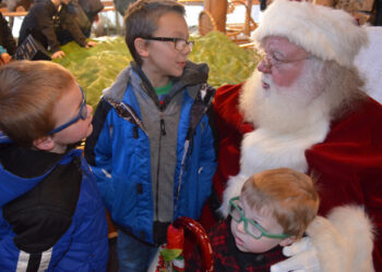 Christmas tree cutting in Golden Gate Canyon Park