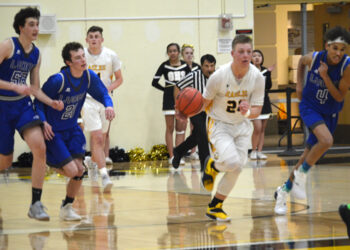 Eagles boys’ hopes dashed in District 7 playoff loss to Lyons
