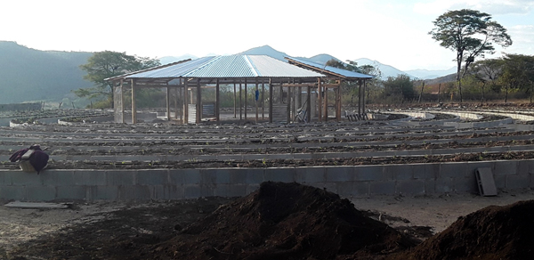 A dream comes to fruition