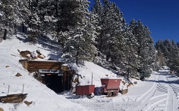 Turning Back the Pages