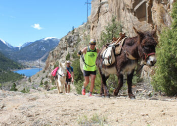 Clear Creek County Pack Burro Race