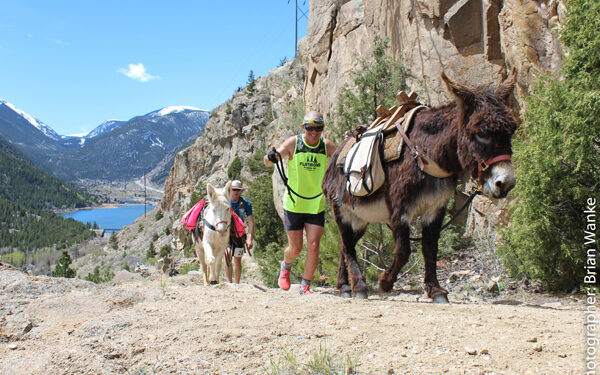 Clear Creek County Pack Burro Race