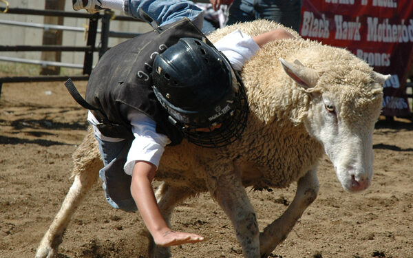 New contests at the Gilpin County Fair