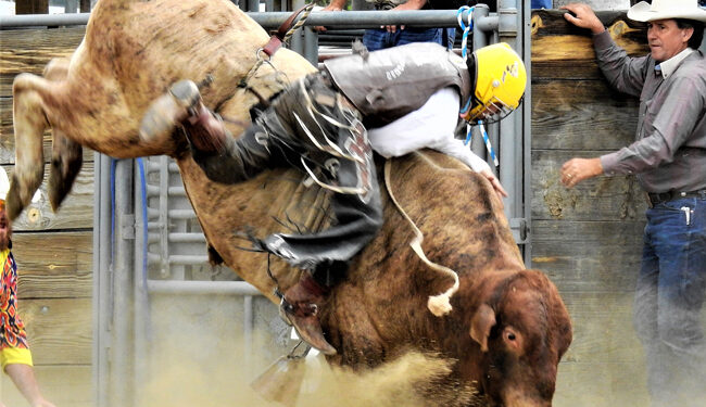 Mutton Bustin’ and Bull Riding!