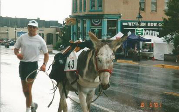 A burro walked into a bar…