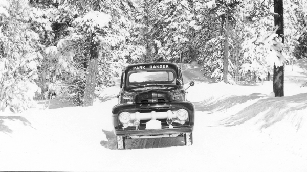 Turning back the pages