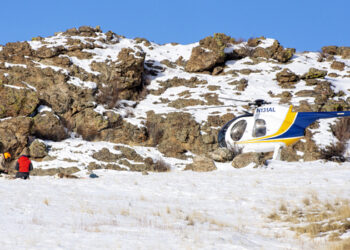 Tarryall-Kenosha Mountain bighorn sheep preservation