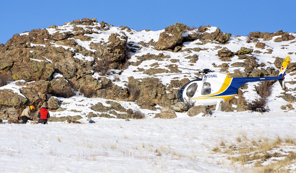 Tarryall-Kenosha Mountain bighorn sheep preservation