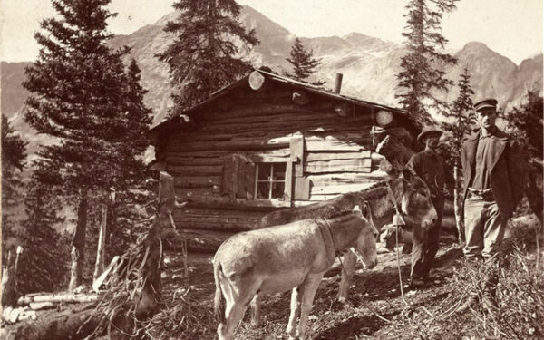 Turning back the pages