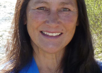 Sandy Hollingsworth announces candidacy