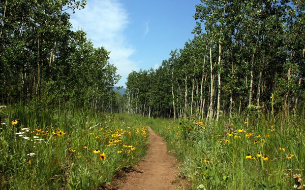 Forest Service officials announce plans to restructure camping near Nederland