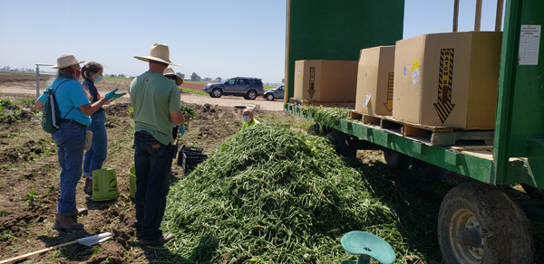 Going to the source for fresh produce