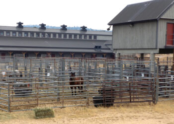 Gilpin Commissioners review Comprehensive Plan updates