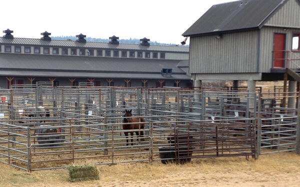 Gilpin Commissioners review Comprehensive Plan updates